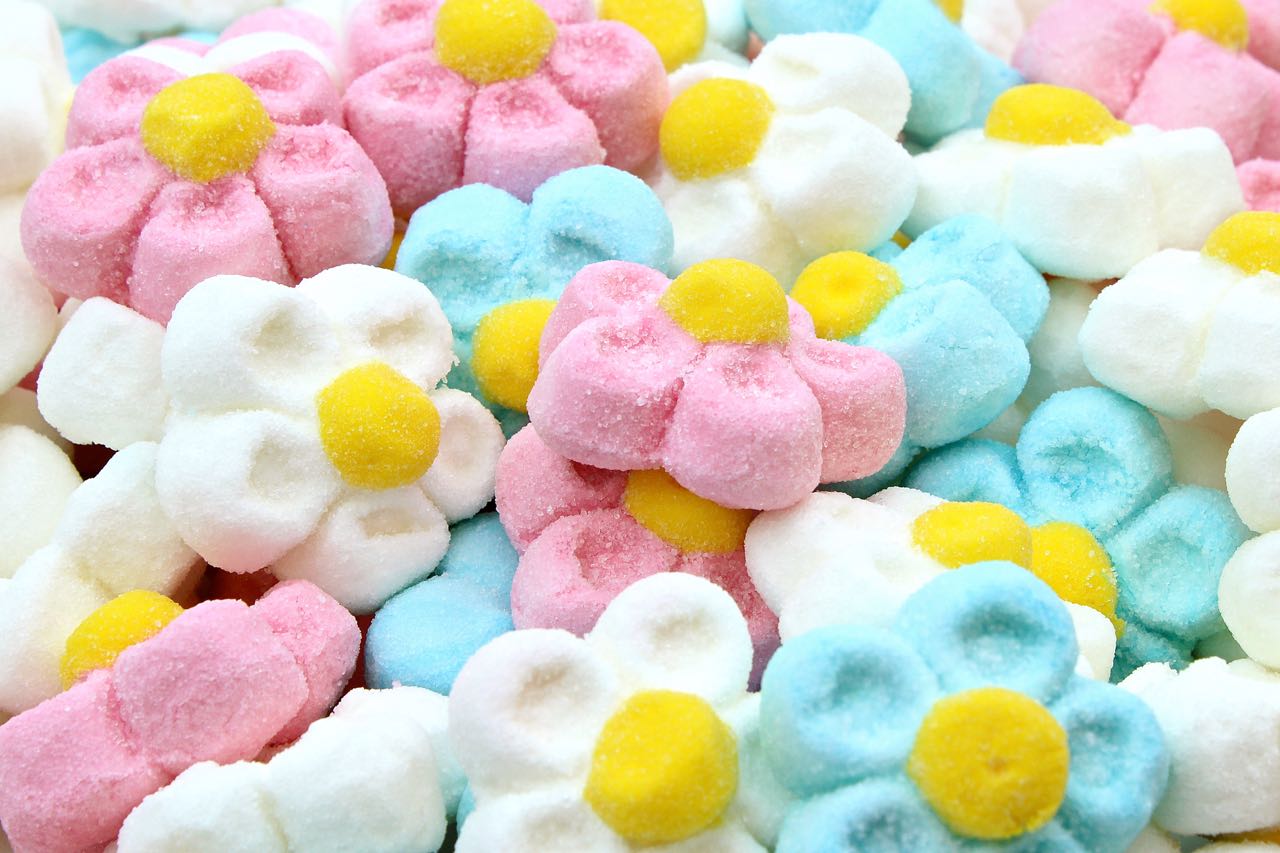 Marshmallow - Fiori di Margherita 900 GR VARI COLORI