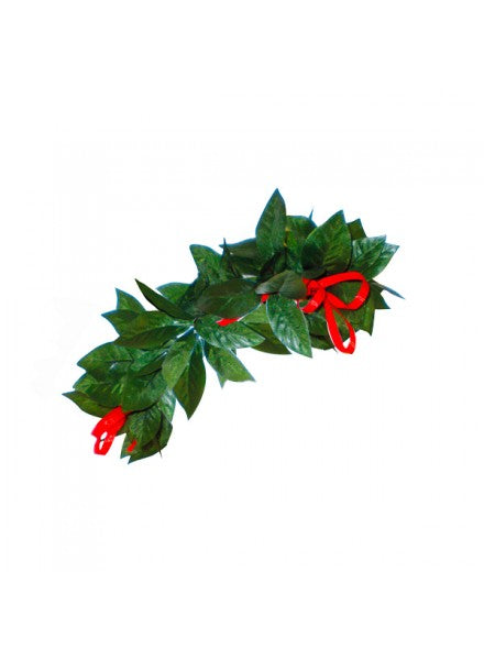 Corona Alloro Laurea