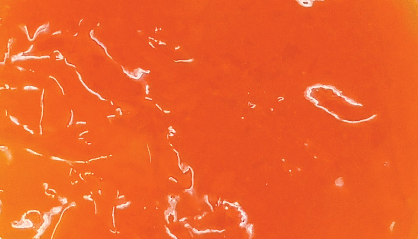 Pasta arancia Elenka gr 100