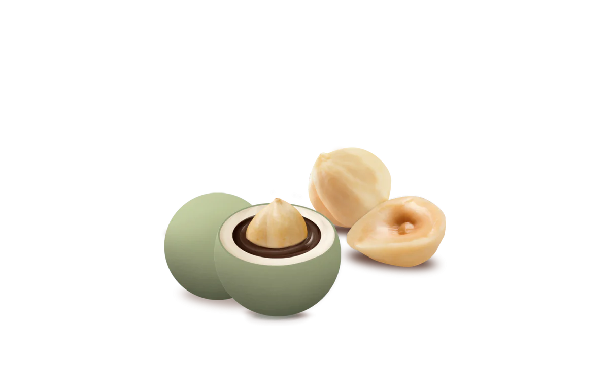 Dragees Maxtris Les Noisettes Nuance Sage 1kg