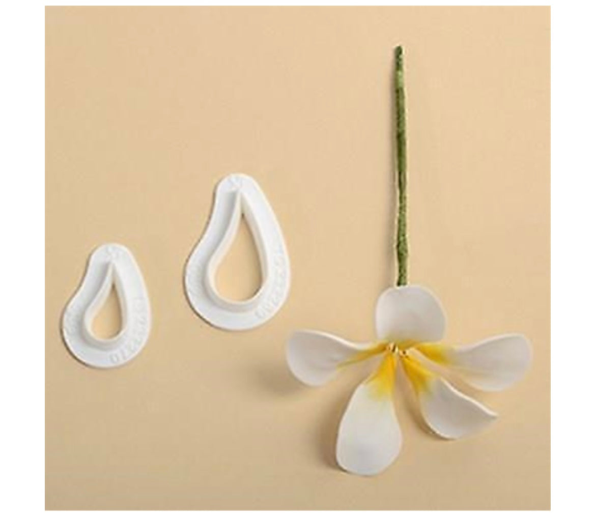 Stampi ad incisione Frangipane pz 2